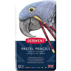 Pastellpliiats Derwent 12tk metallkarbis hind ja info | Kunstitarbed, voolimise tarvikud | kaup24.ee