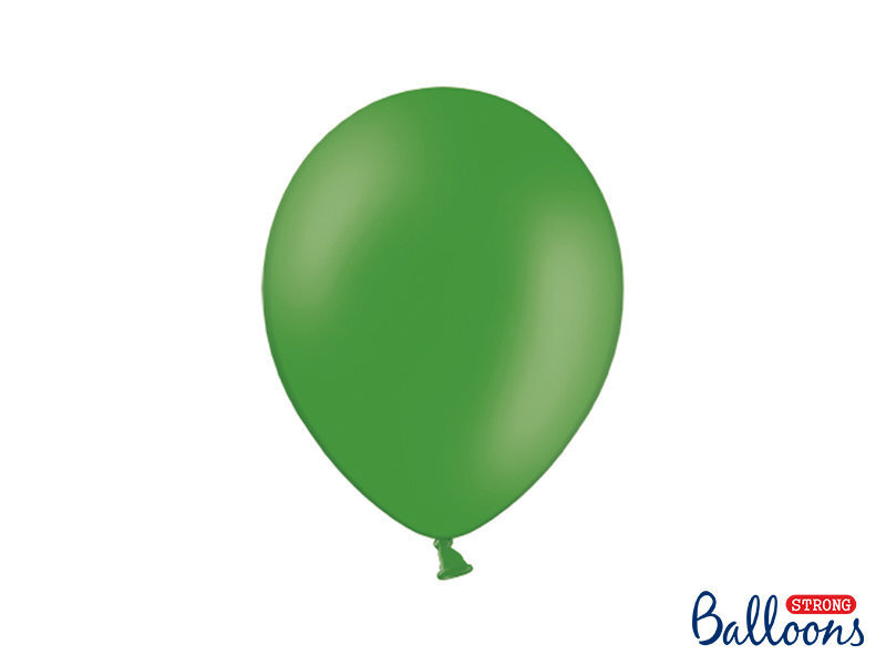 Tugevad õhupallid 27 cm Pastel, roheline, 10 tk. hind ja info | Õhupallid | kaup24.ee