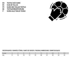 Перчатки вратаря Rinat Meta Gk Semi Белый цена и информация | Перчатки вратаря | kaup24.ee