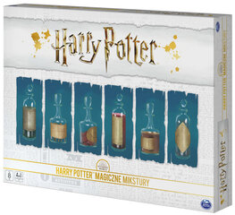 Harry Potter Magic Potions Social Family lauamäng Potions of Poland цена и информация | Настольные игры, головоломки | kaup24.ee