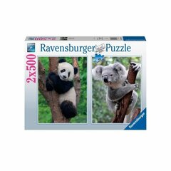 Головоломка Ravensburger Panda & Koala 2 x 500 Предметы цена и информация | Пазлы | kaup24.ee