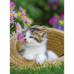 Головоломка Ravensburger Kittens 2 x 500 Предметы цена и информация | Пазлы | kaup24.ee