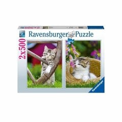 Головоломка Ravensburger Kittens 2 x 500 Предметы цена и информация | Пазлы | kaup24.ee