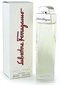 Salvatore Ferragamo Pour Femme EDP naistele 100 ml hind ja info | Naiste parfüümid | kaup24.ee