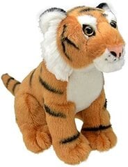 Plush Toys Tiger цена и информация | Мягкие игрушки | kaup24.ee