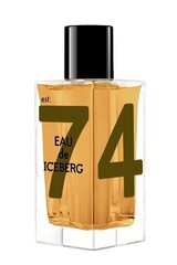 Tualettvesi Iceberg Eau de Iceberg Amber EDT meestele 100 ml цена и информация | Мужские духи | kaup24.ee