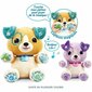 Pehme mänguasi Vtech Nougat, My Magic Paws Friend 1-5 aastat Muusikaline hind ja info | Pehmed mänguasjad | kaup24.ee