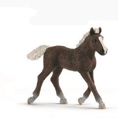 Schleich Farm World Шварцвальдский жеребенок цена и информация | Настольные игры, головоломки | kaup24.ee