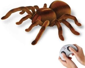 Infrared RC plush giant spider 9986M цена и информация | Настольные игры, головоломки | kaup24.ee