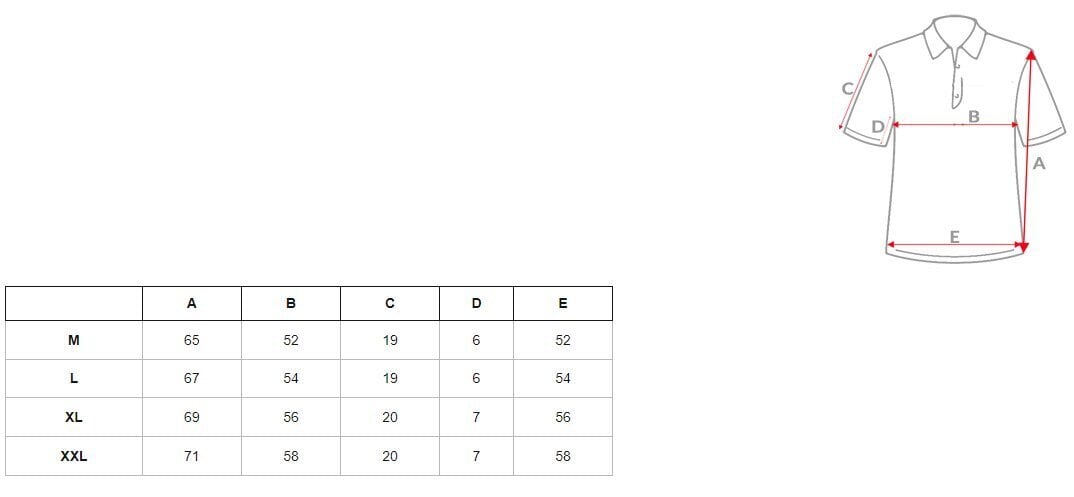 Polosärk meestele Casual, hall hind ja info | Meeste T-särgid | kaup24.ee