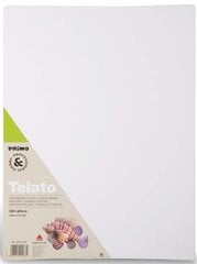 Lõuend papil RIMO, 100% puuvill, 30x40x0,4 cm цена и информация | Особенности<br>-<br>Материал: дерево, пластик, стекло.<br>- Ручка из массива дерева, высококачественная и стильная.<br>- Зеркало высокой четкости, восстанавливает вашу максимальную четкость.<br>- Это подходит мужчинам и женщинам для повседневного макияжа и для путешествий. | kaup24.ee