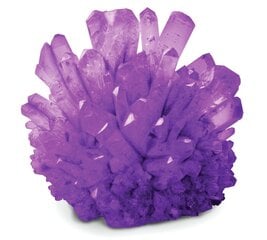 Teadusmäng Kristalli kasvatamine National Geographic Crystal Grow Purple, NGPCRYSTAL hind ja info | Arendavad mänguasjad | kaup24.ee