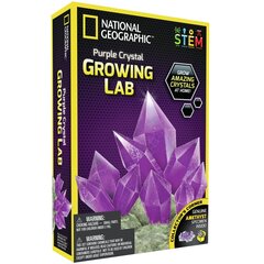 Teadusmäng Kristalli kasvatamine National Geographic Crystal Grow Purple, NGPCRYSTAL hind ja info | Arendavad mänguasjad | kaup24.ee