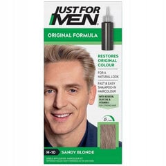 Just For Men Sandy Blond H10 цена и информация | Товары для здоровья ребенка | kaup24.ee