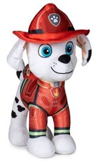 Nickelodeon Paw Patrol Marshall, 20 cm hind ja info | Pehmed mänguasjad | kaup24.ee