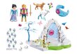 9491 PLAYMOBIL® Jääkuningriigi võluvärav hind ja info | Klotsid ja konstruktorid | kaup24.ee