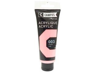 Akrüülvärv Campus 100ml 003 pink hind ja info | Kunstitarbed, voolimise tarvikud | kaup24.ee