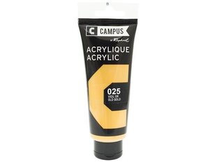 Akrüülvärv Campus 100ml 025 old gold цена и информация | Принадлежности для рисования, лепки | kaup24.ee