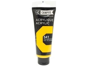 Akrüülvärv Campus 100ml 541 cadmium yellow medium hue hind ja info | Kunstitarbed, voolimise tarvikud | kaup24.ee