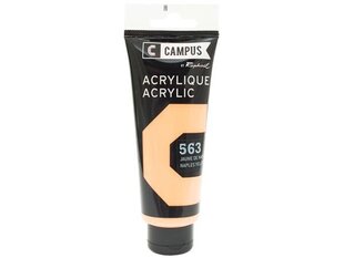 Akrüülvärv Campus 100ml 563 naples yellow warm цена и информация | Принадлежности для рисования, лепки | kaup24.ee