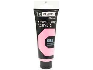 Akrüülvärv Campus 100ml 658 quinacridone pink цена и информация | Принадлежности для рисования, лепки | kaup24.ee