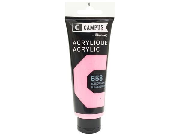 Akrüülvärv Campus 100ml 658 quinacridone pink hind ja info | Kunstitarbed, voolimise tarvikud | kaup24.ee