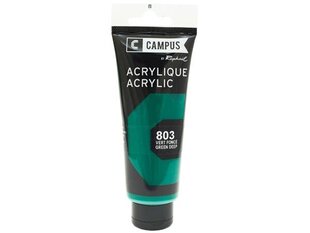 Akrüülvärv Campus 100ml 803 green deep hind ja info | Kunstitarbed, voolimise tarvikud | kaup24.ee