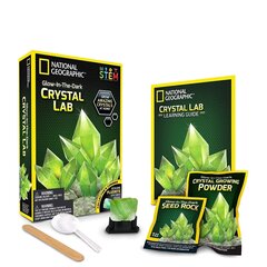 Teadusmäng Kristalli kasvatamine National Geographic Crystal Grow Green, NGGIDCRYSTAL цена и информация | Развивающие игрушки | kaup24.ee