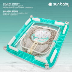 Детские ходунки интерактивный звезды Sun Baby цена и информация | Ходунки | kaup24.ee