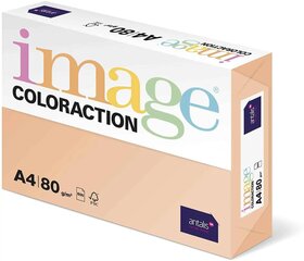 Цветная бумага IMAGE COLORACTION, А4, 80 г/м², 50 листов, SAVANA/PALE SALMON (1 упаковка) цена и информация | Канцелярские товары | kaup24.ee