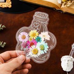 '20/40tk Kuivatatud lillemarker Käsitsi valmistatud isetegemise materjal läbipaistev omatehtud reljeefne taimne läbipaistev marker Creative Flower Leaf Flower Marker Clear Jar' hind ja info | Aplikatsioonid, dekoratsioonid, kleebised | kaup24.ee