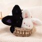 '20 cm/7,9-tolline Kawaii Fat Bat Palus nukk Armas lendav nahkhiire plüüsis mänguasi Pehme täidisega plüüsis mänguasjad Armas sünnipäevakingitus tüdrukutele poistele Halloweeni kingitused pühadekingitus' цена и информация | Pehmed mänguasjad | kaup24.ee