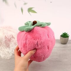 'Creative Plush Cartoon Fruit Doll Maasika Palus mänguasja Puuviljakangast nukk' hind ja info | Pehmed mänguasjad | kaup24.ee