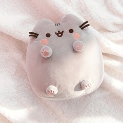 'Klassikalised Bean Pusheen Plush mänguasjad topitud loomad jõulukingiks' hind ja info | Pehmed mänguasjad | kaup24.ee