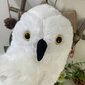 '1 tk White Owl Messenger Creative Doll Plush mänguasi' цена и информация | Pehmed mänguasjad | kaup24.ee