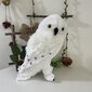 '1 tk White Owl Messenger Creative Doll Plush mänguasi' цена и информация | Pehmed mänguasjad | kaup24.ee