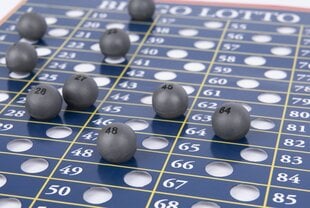 Lauamäng Spinmaster Game Bingo Lotto, 6065517 hind ja info | Lauamängud ja mõistatused | kaup24.ee