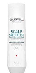 Шампунь от перхоти Goldwell Dualsenses Scalp Specialist, 250 мл цена и информация | Шампуни | kaup24.ee