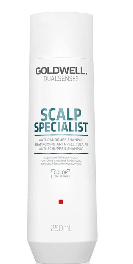 Kõõmavastane šampoon Goldwell Dualsenses Scalp Specialist, 250 ml цена и информация | Šampoonid | kaup24.ee