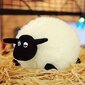 'Cartoon One Sheep Doll Palus mänguasi Pehme armas valge väike lambanukk Diivan Ornament Pühadekingitus Uusaasta Kingitus Sünnipäevakingitus Jõulud Halloween Tänupüha Sõbrapäeva kingitus' hind ja info | Pehmed mänguasjad | kaup24.ee