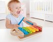 Värviline ksülofon HAPE, E0606 цена и информация | Imikute mänguasjad | kaup24.ee