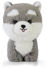 DAFFI Teddy Pets Husky maskott T-024 00241 hind ja info | Pehmed mänguasjad | kaup24.ee