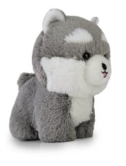 DAFFI Teddy Pets Husky maskott T-024 00241 цена и информация | Мягкие игрушки | kaup24.ee