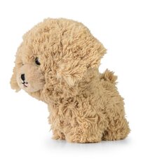 DAFFI maskott. Teddy Pets Kuldne puudel T-014 00142 hind ja info | Pehmed mänguasjad | kaup24.ee