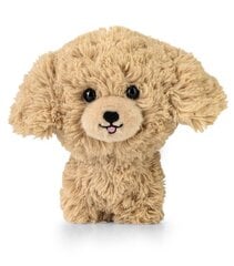 DAFFI maskott. Teddy Pets Kuldne puudel T-014 00142 hind ja info | Pehmed mänguasjad | kaup24.ee