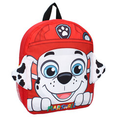 PAW PATROL seljakott Go Team! hind ja info | Koolikotid, sussikotid | kaup24.ee