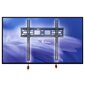 TV-kinnitus NB C2F 32''-65'' (TV kuni 56 kg, VESA kuni 40*40 cm) hind ja info | Teleri seinakinnitused ja hoidjad | kaup24.ee