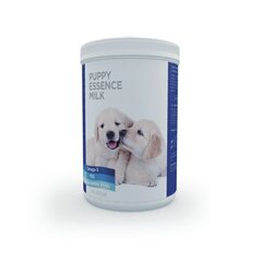 Bungener Puppy Essence Milk полноценный заменитель молока для щенков, 450 г. цена и информация | Пищевые добавки и анти-паразитные товары | kaup24.ee