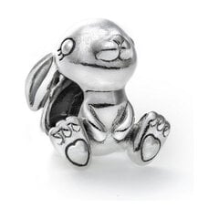 Женский бисер Pandora Rabbit, серебро цена и информация | Принадлежности для изготовления украшений, бисероплетения | kaup24.ee