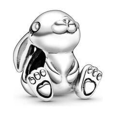 Женский бисер Pandora Rabbit, серебро цена и информация | Принадлежности для изготовления украшений, бисероплетения | kaup24.ee